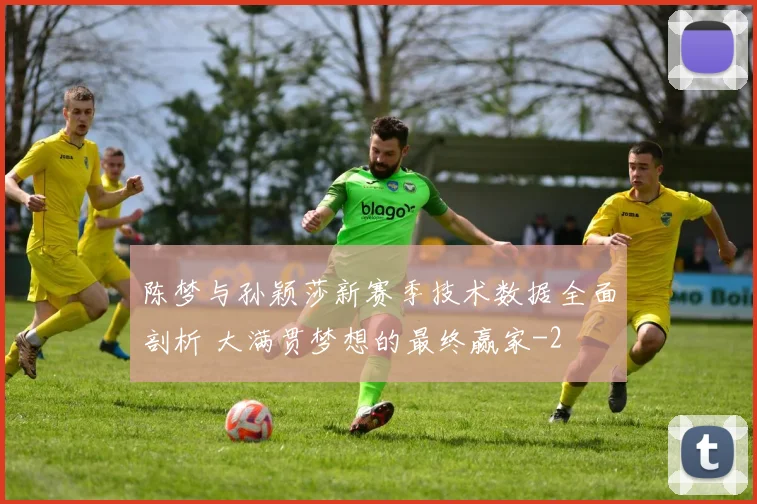 陈梦与孙颖莎新赛季技术数据全面剖析 大满贯梦想的最终赢家