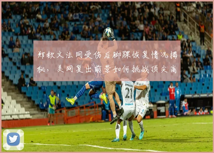 郑钦文法网受伤后脚踝恢复情况揭秘，美网复出前景如何挑战顶尖高手？
