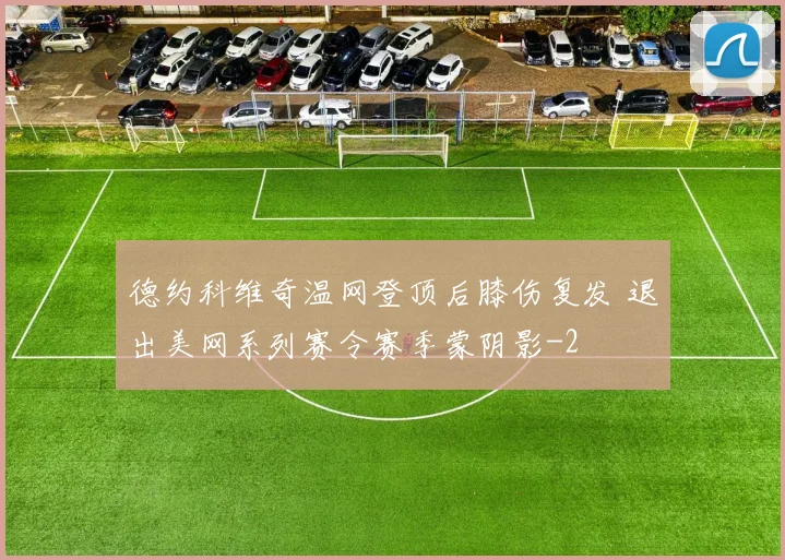 德约科维奇温网登顶后膝伤复发 退出美网系列赛令赛季蒙阴影
